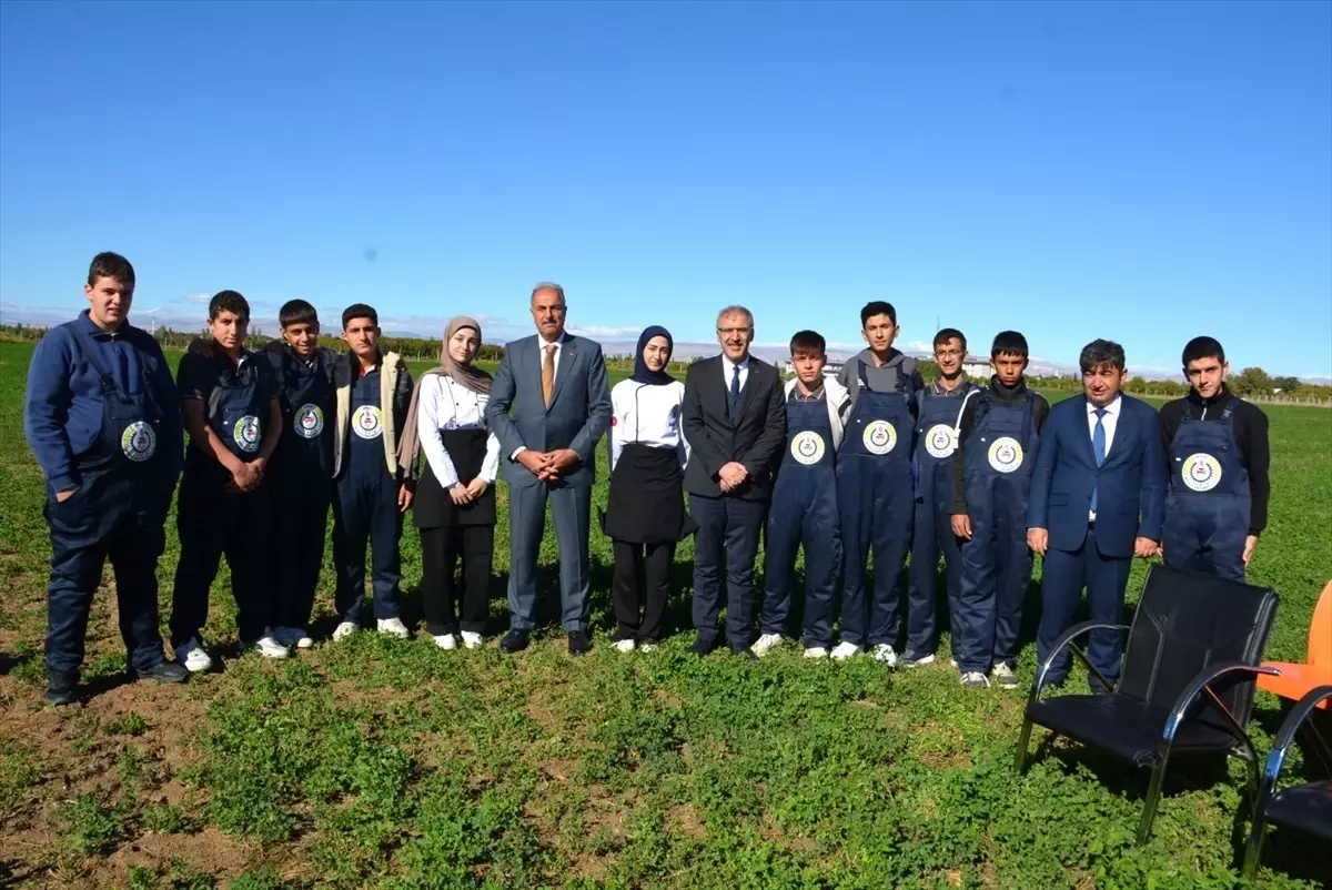 battalgazi tarim lisesinde misir hasadi gerceklestirildi psyl9TMh.jpg